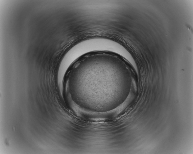 X0000098160268200804171606