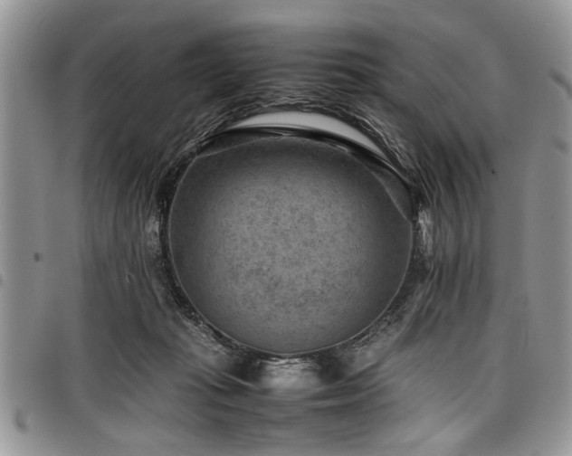 X0000098160269200804171606