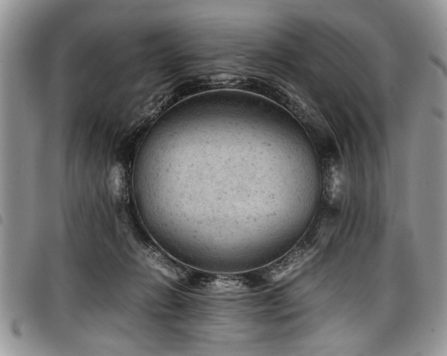X0000098160270200804171606