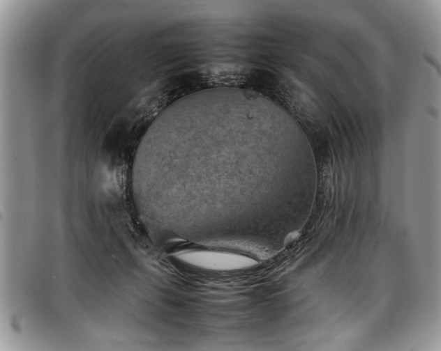X0000098160271200804171606