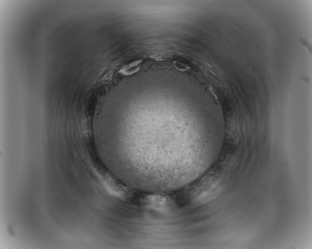 X0000098160272200804171606