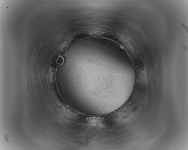 X0000098160273200804171606