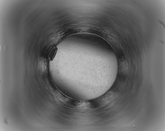 X0000098160274200804171606
