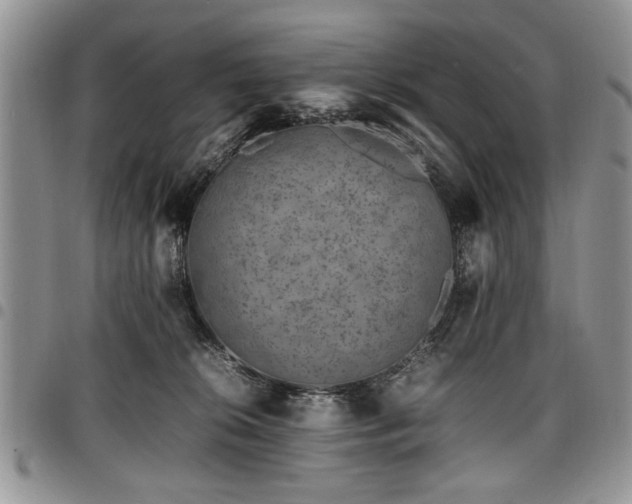 X0000098160276200804171606