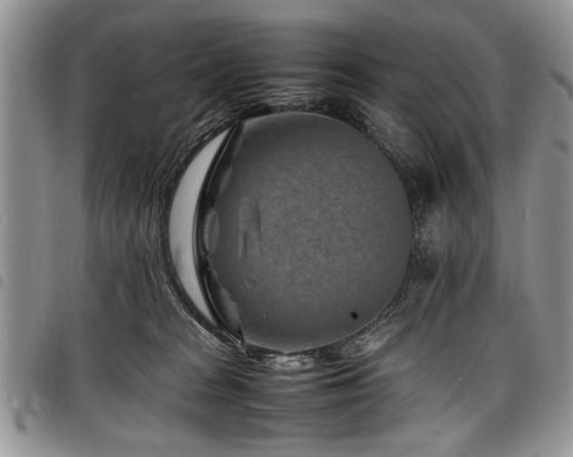 X0000098160277200804171606