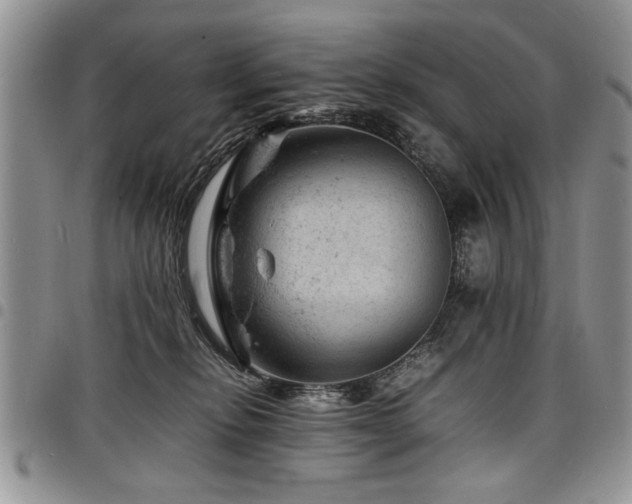 X0000098160278200804171606