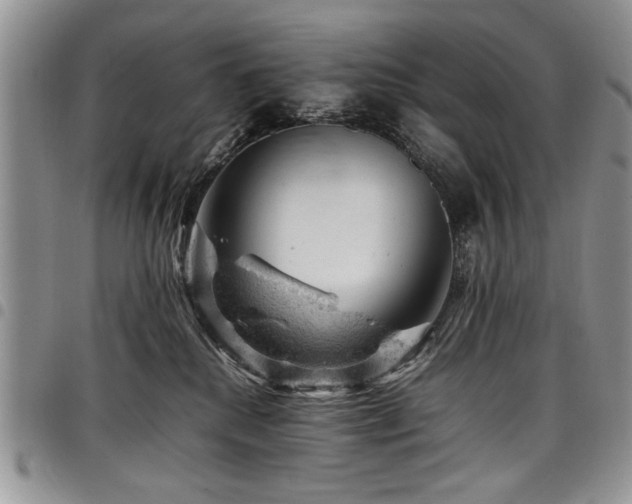 X0000098160280200804171607