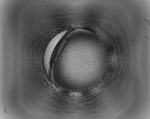 X0000098160281200804171607