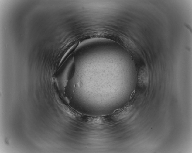 X0000098160282200804171607