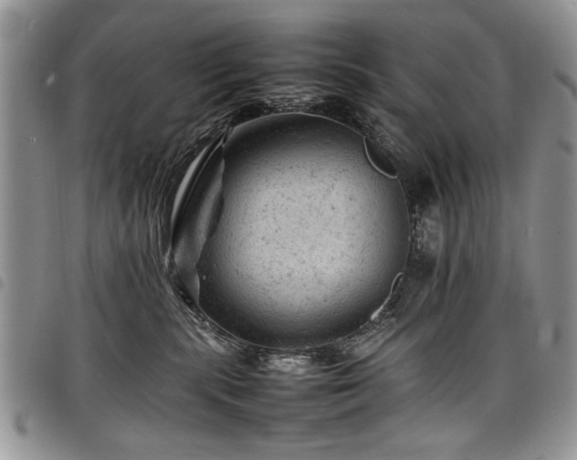 X0000098160283200804171607