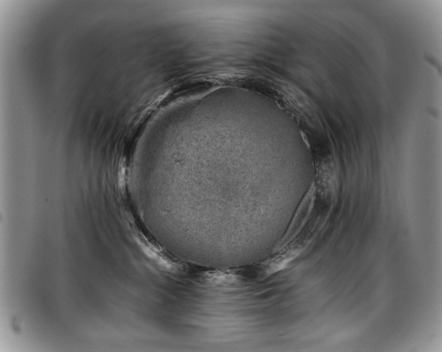X0000098160284200804171607