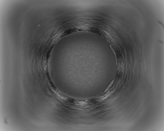 X0000098160285200804171607