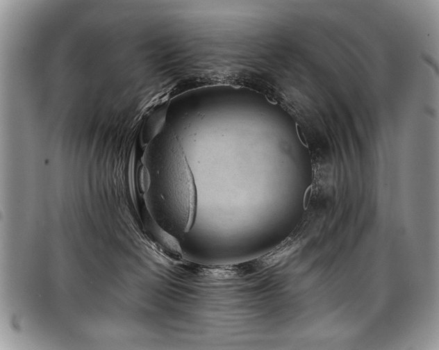 X0000098160286200804171607