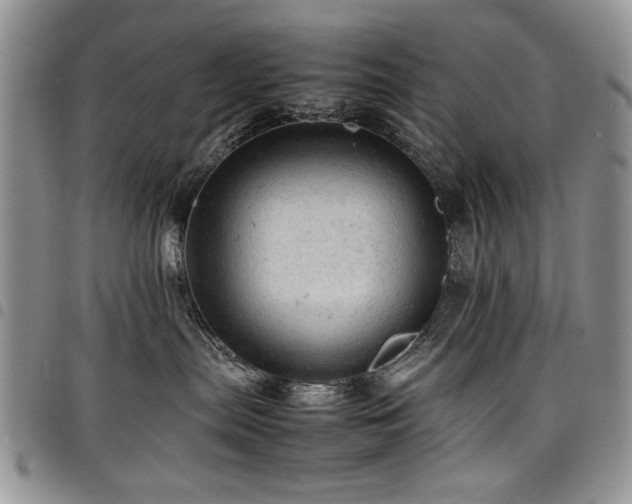 X0000098160287200804171607