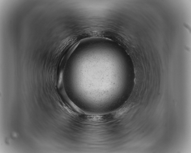 X0000098160288200804171607