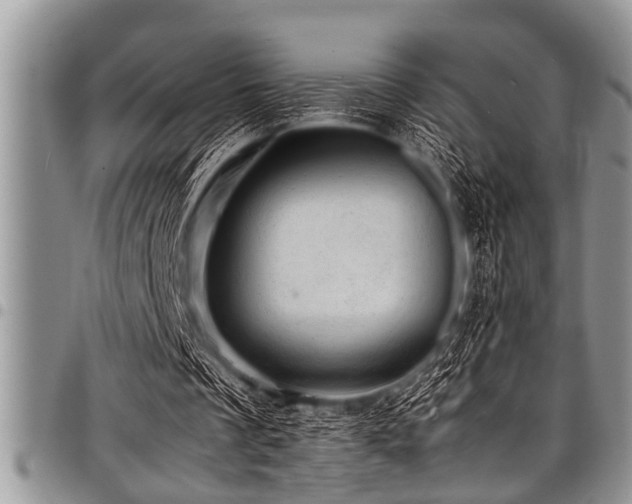 X0000098160289200804171606