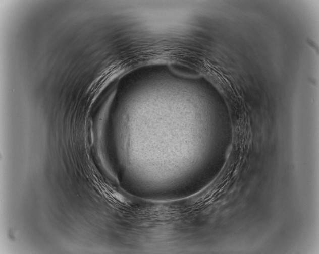 X0000098160290200804171606