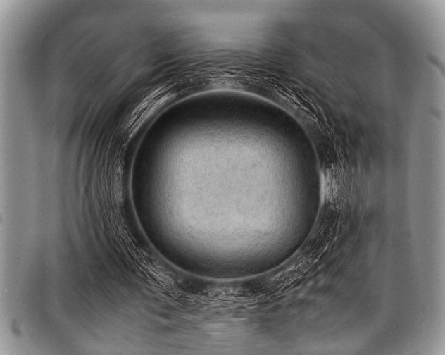 X0000098160291200804171606