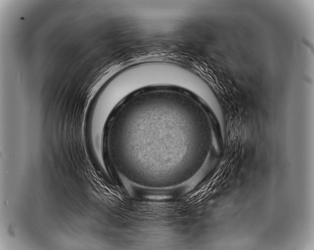 X0000098160292200804171606