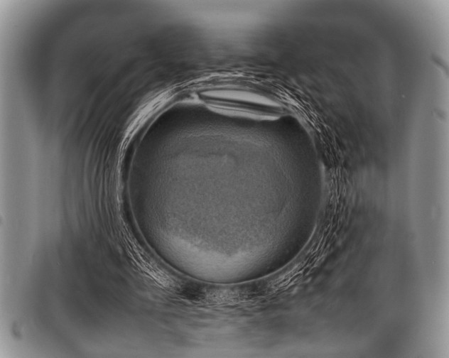 X0000098160293200804171606