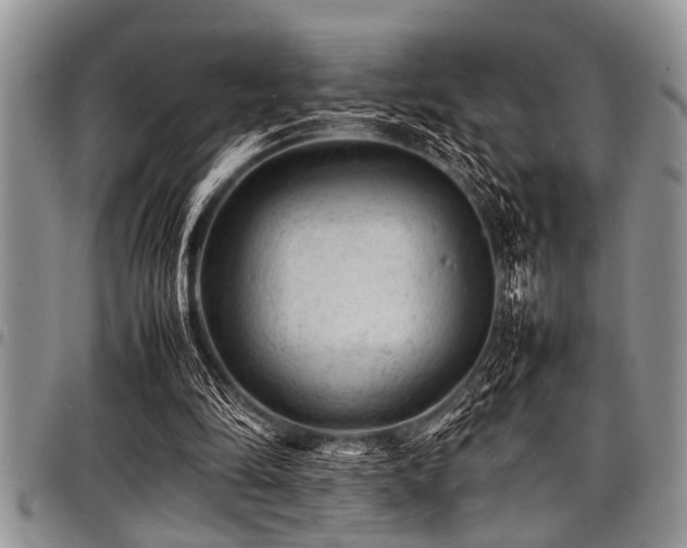 X0000098160294200804171606