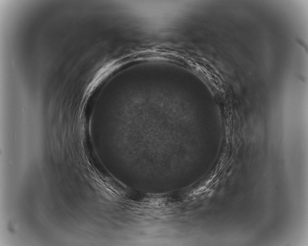 X0000098160295200804171606