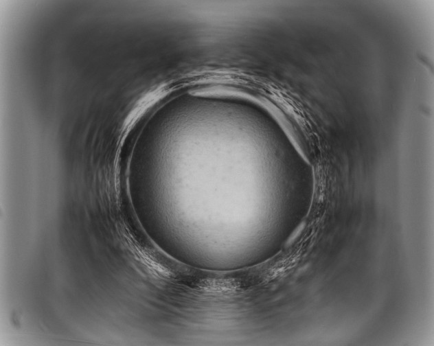 X0000098160296200804171606