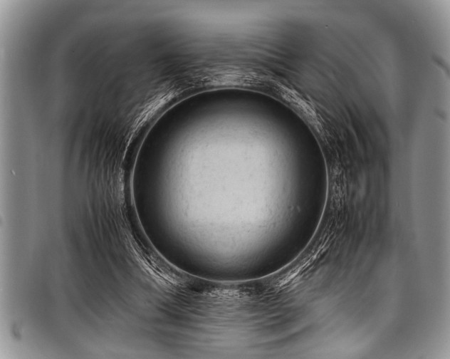 X0000098160298200804171606