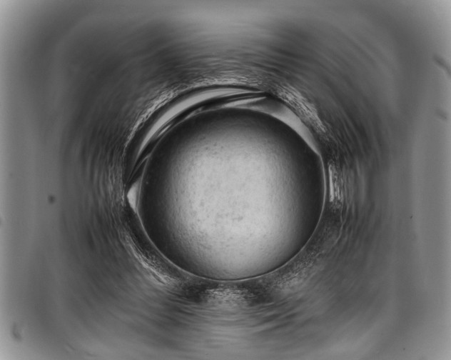 X0000098160300200804171606