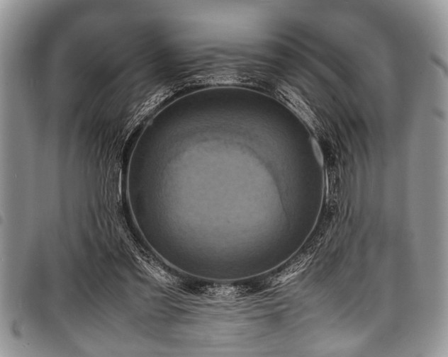 X0000098160301200804171606