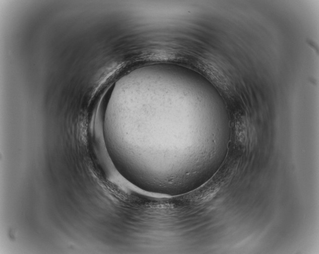 X0000098160304200804171606