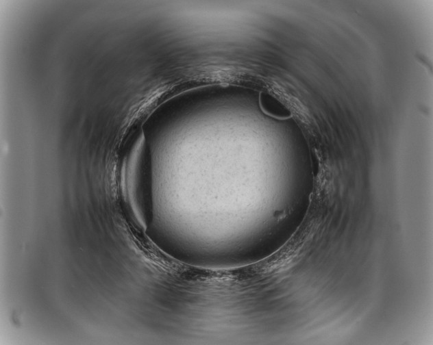 X0000098160306200804171606