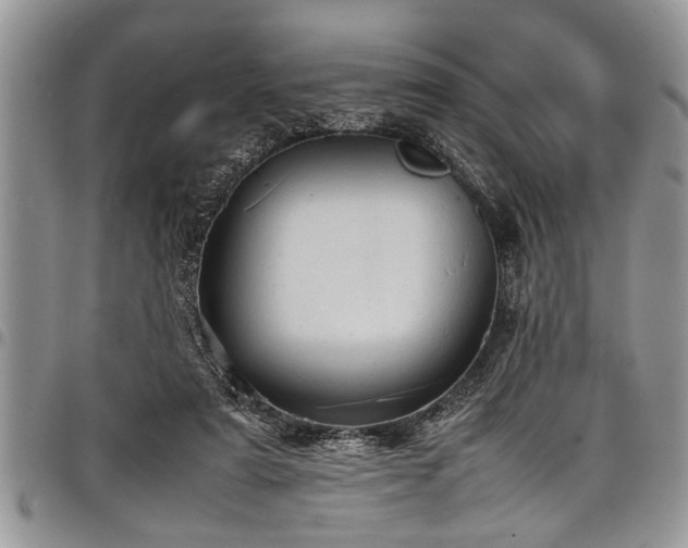 X0000098160307200804171606