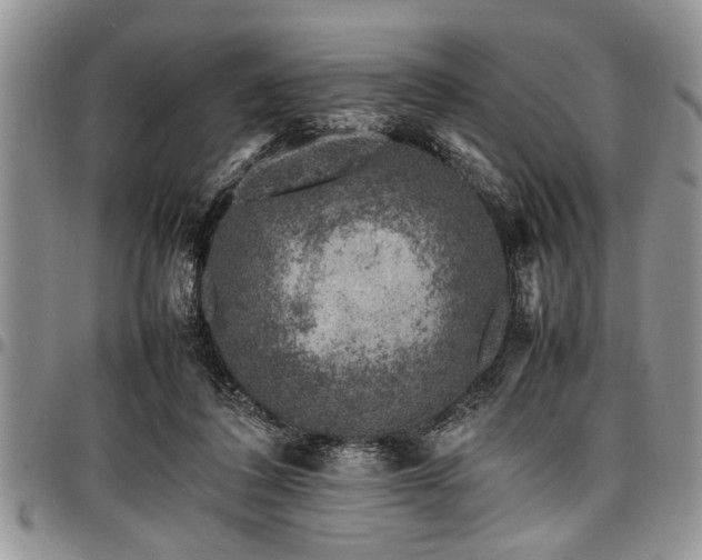 X0000098160308200804171606