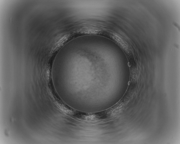 X0000098160309200804171606