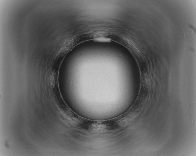 X0000098160311200804171606