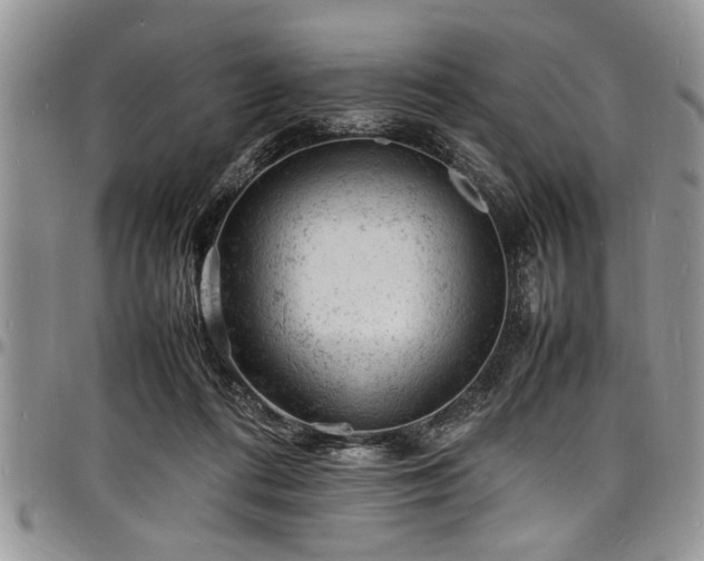 X0000098160312200804171606