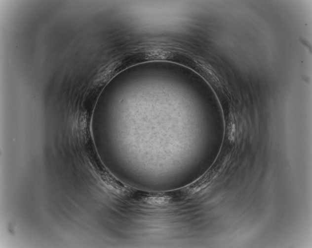 X0000098160314200804171606