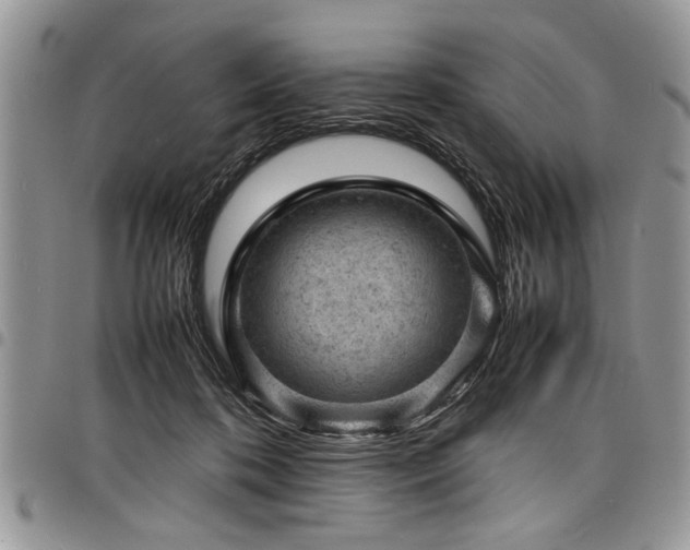 X0000098160316200804171605