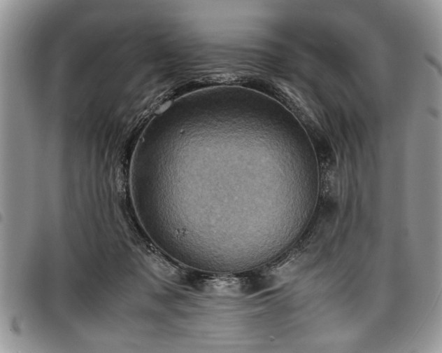 X0000098160317200804171605