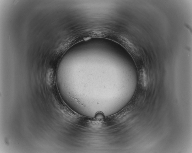 X0000098160318200804171605