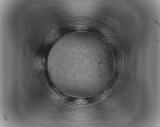 X0000098160319200804171605