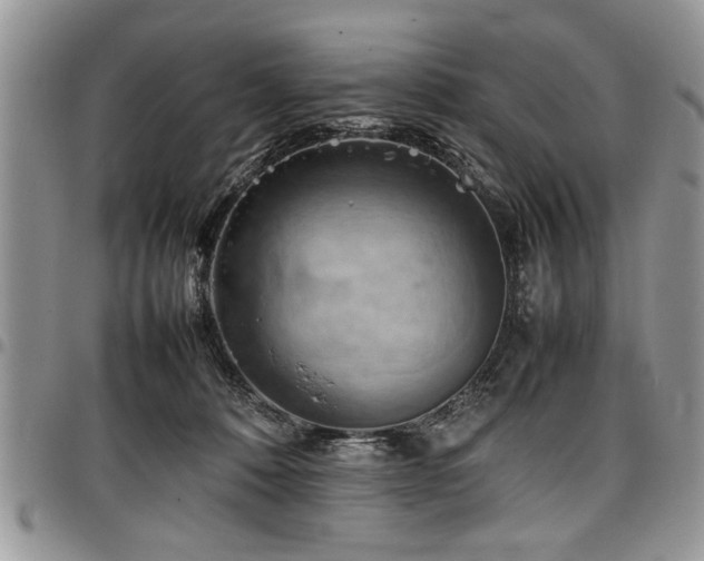X0000098160320200804171605