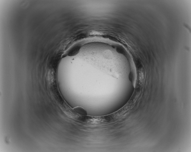 X0000098160323200804171605