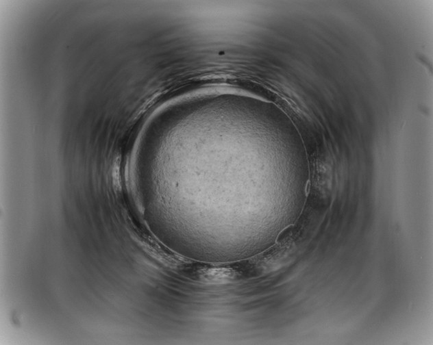 X0000098160324200804171605