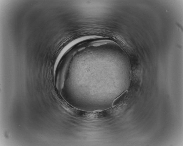 X0000098160325200804171605