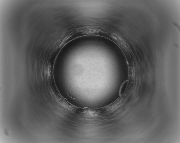 X0000098160326200804171605