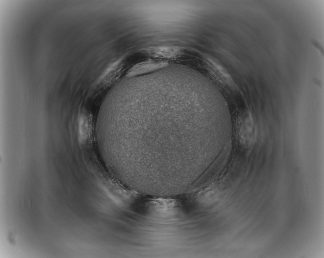 X0000098160328200804171605