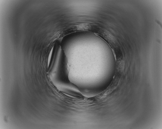 X0000098160329200804171605