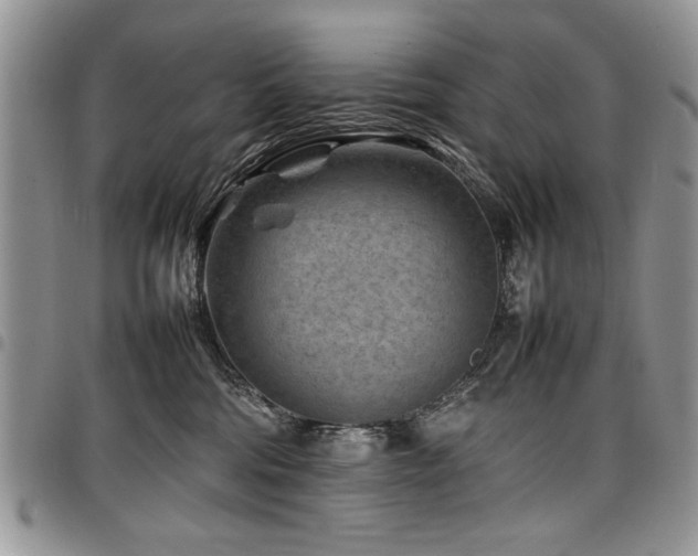 X0000098160330200804171605